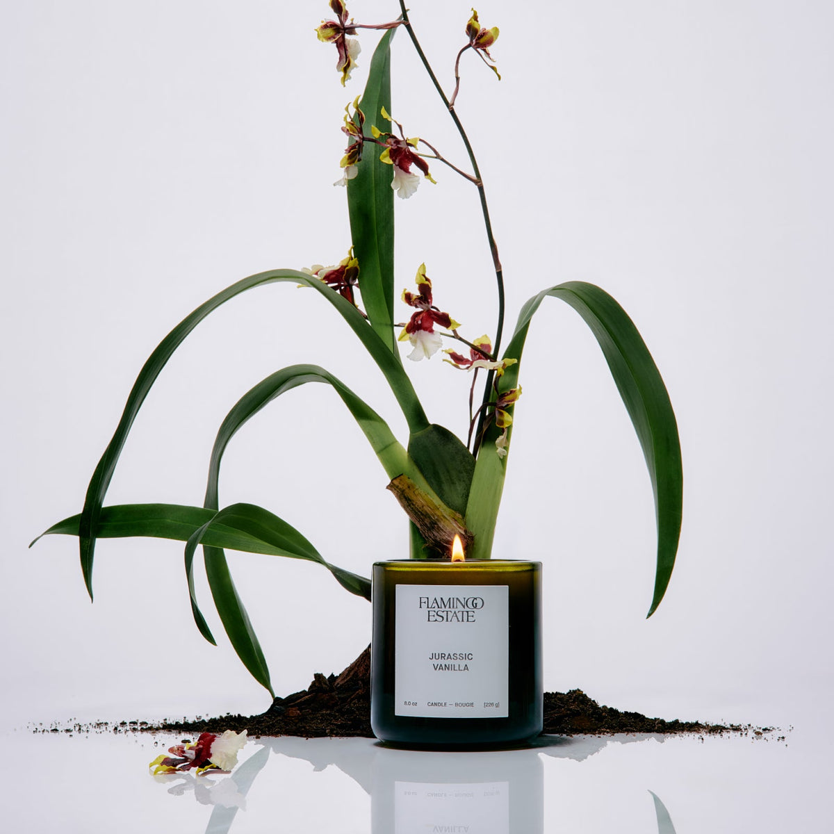 Flamingo Estate Jurassic Vanilla Candle - scented candle available at Hiptique boutique in Woodland Hills California