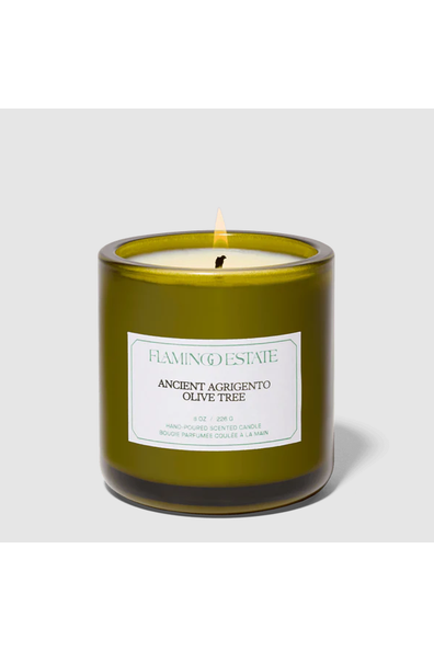 Ancient Agrigento Olive Tree Candle