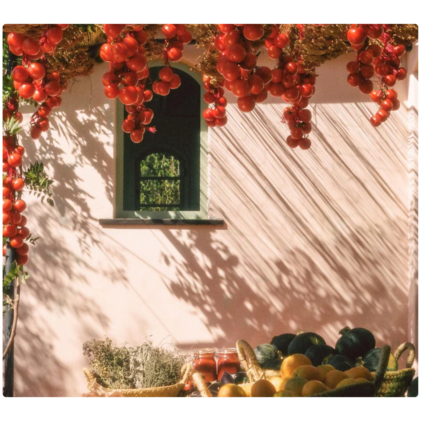 DISH SOAP ROMA HEIRLOOM TOMATO