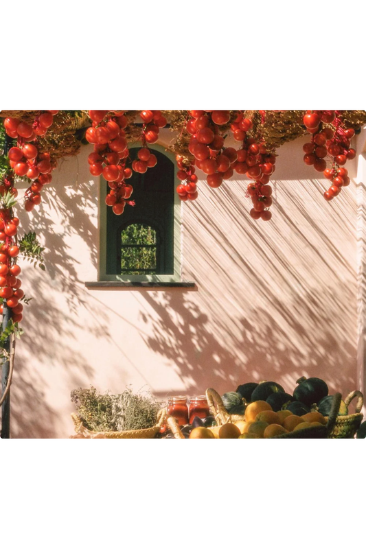 DISH SOAP ROMA HEIRLOOM TOMATO