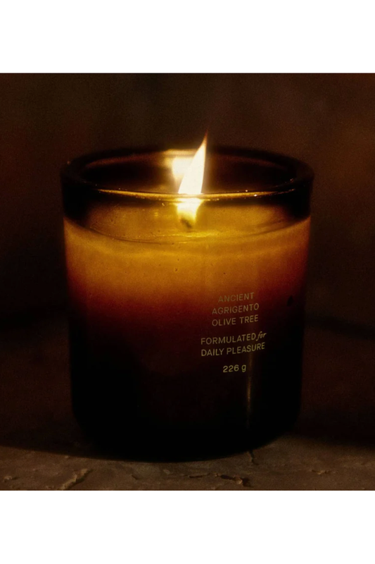 Ancient Agrigento Olive Tree Candle
