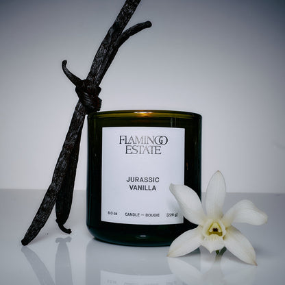 Flamingo Estate Jurassic Vanilla Candle - scented candle available at Hiptique boutique in Woodland Hills California