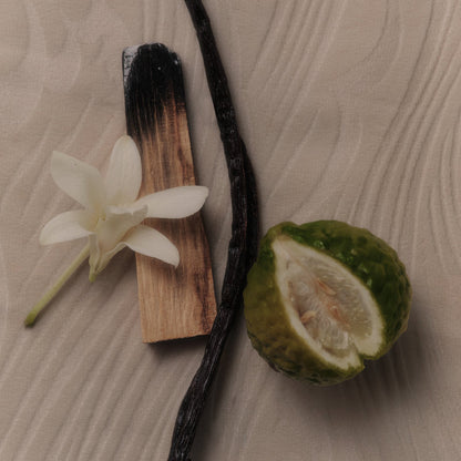 Flamingo Estate Jurassic Vanilla Candle - scented candle available at Hiptique boutique in Woodland Hills California