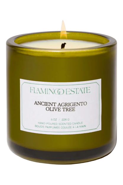 Ancient Agrigento Olive Tree Candle