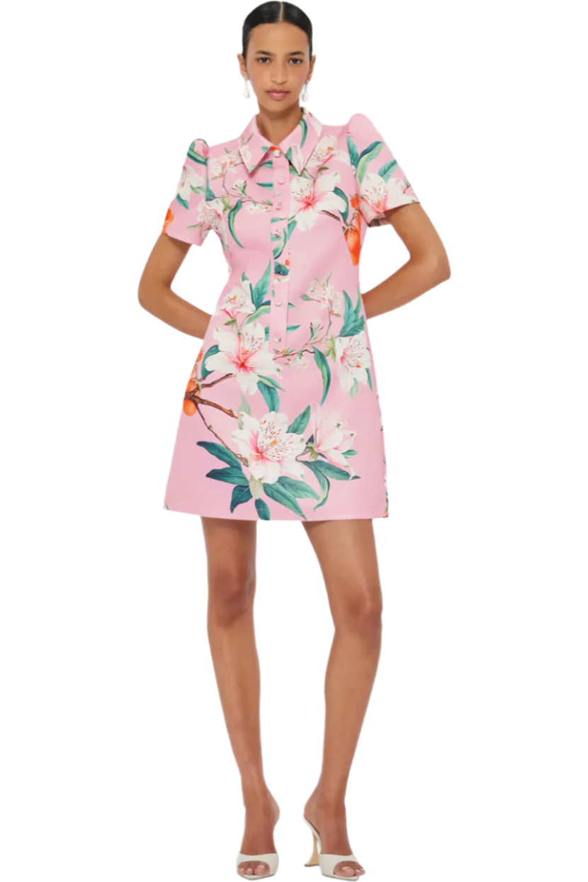 Mini Dress