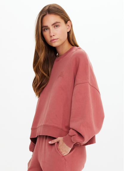 SERENDIPITY PALOMA CREW